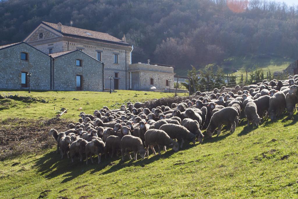 Masseria Salecchia * Bovino